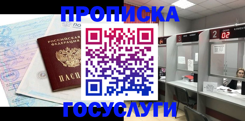прописка поиск в Чебоксарах